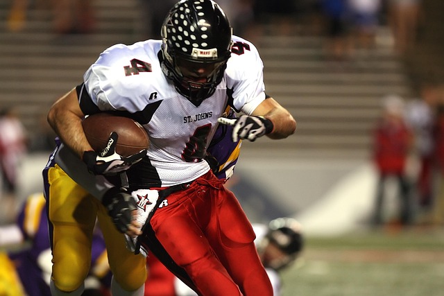 稳定的沙地 稳定的沙地