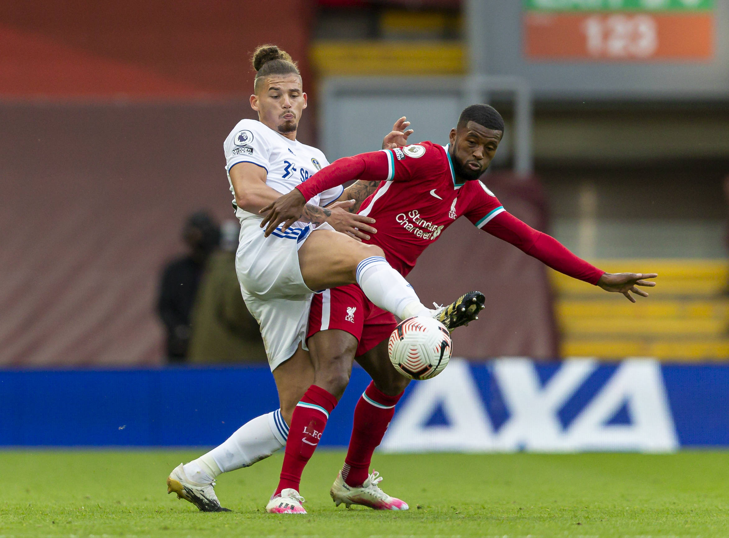 这并非猎奇 这并非猎奇